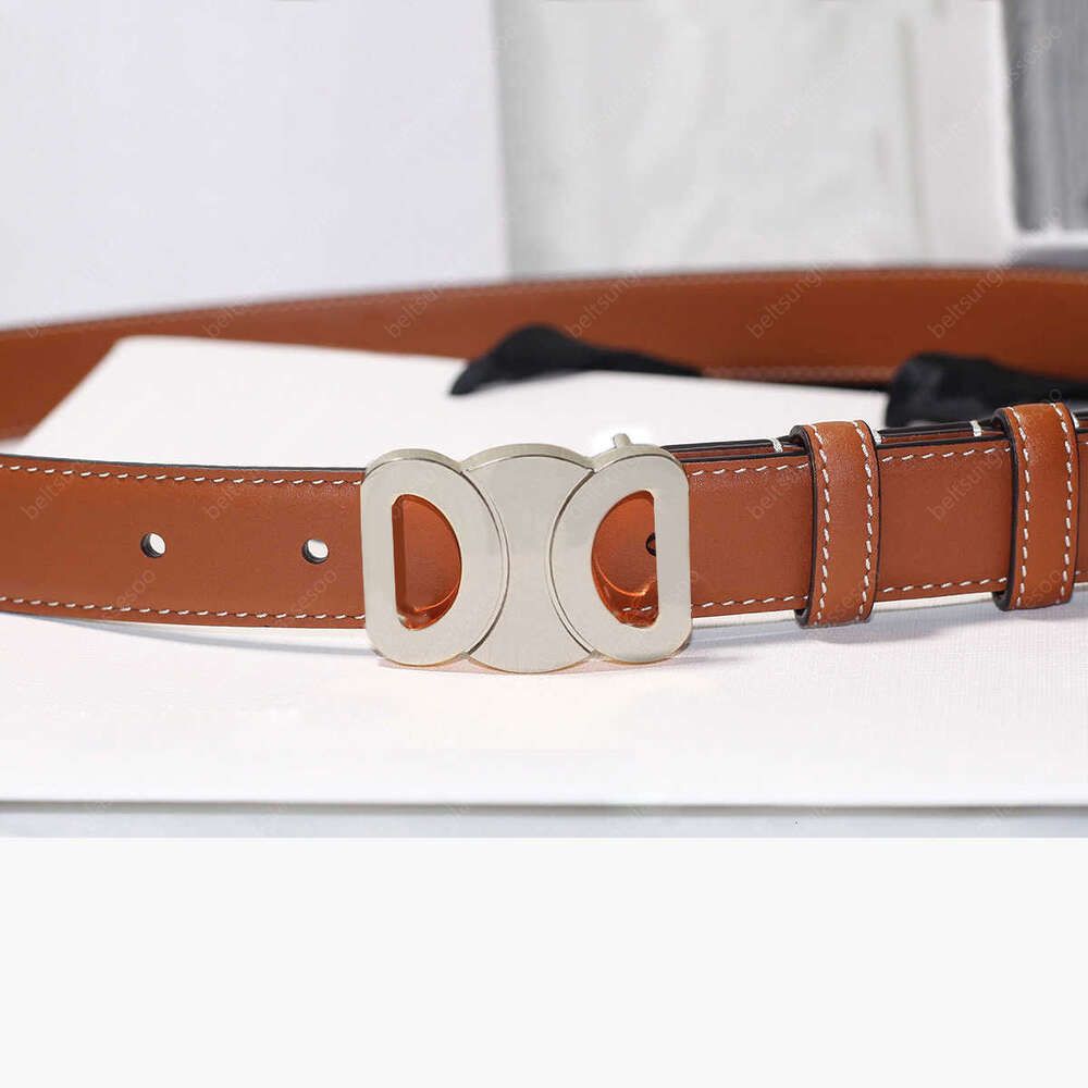 2.5cm Tan_silver Buckle