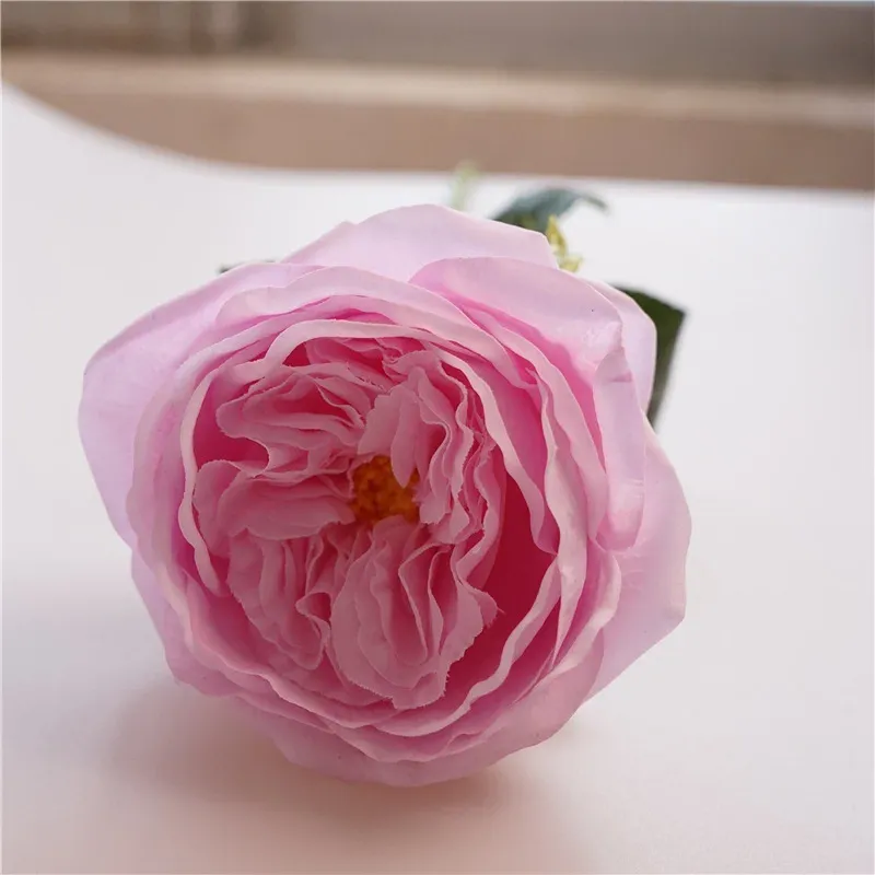 Rosa lila