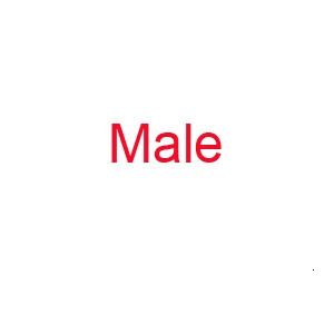 Male-37