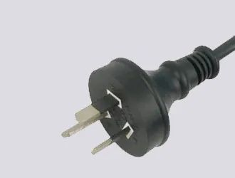 220V AU plug