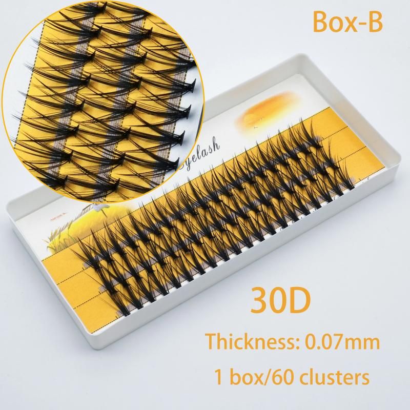 C Kina 8mm 30D-Box-B