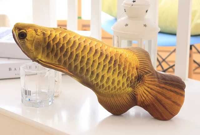 gold arowana