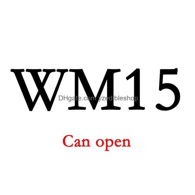 WM15が開いています