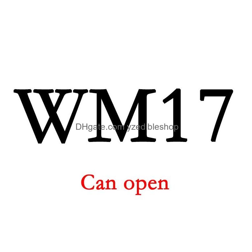 WM17が開いています
