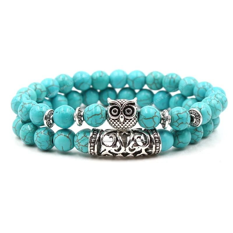 S036 OWL