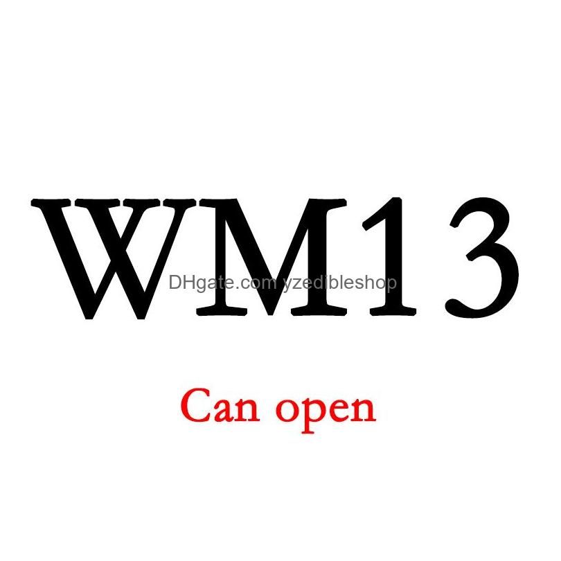 WM13が開いています