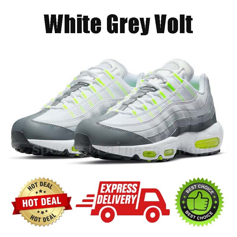 #57 White Grey Volt