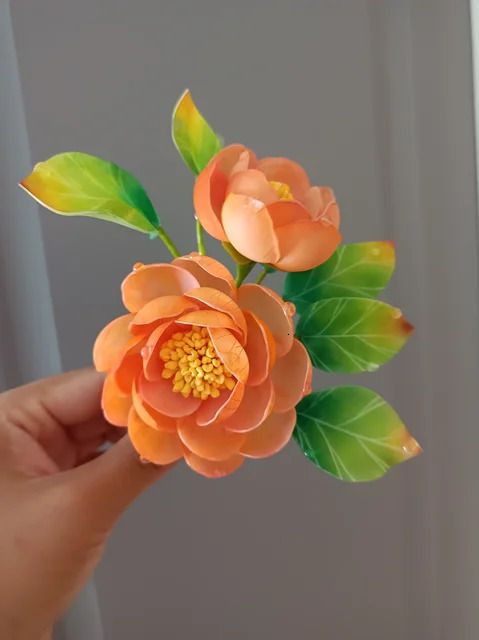 orange peony