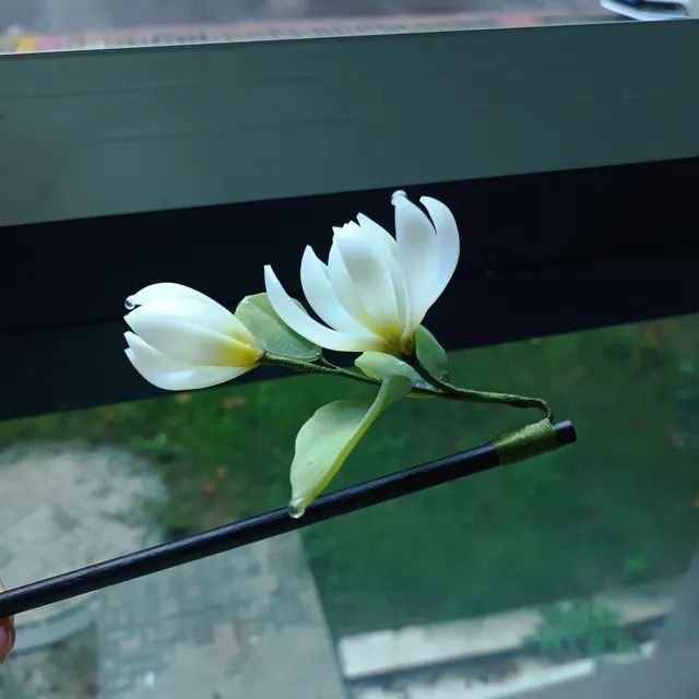 magnolia -a