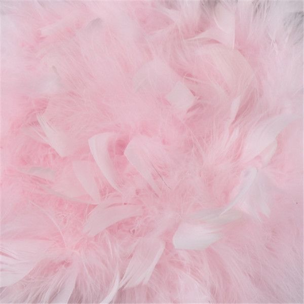 Pink feather