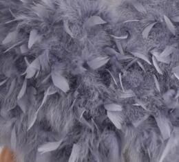 Light gray feather