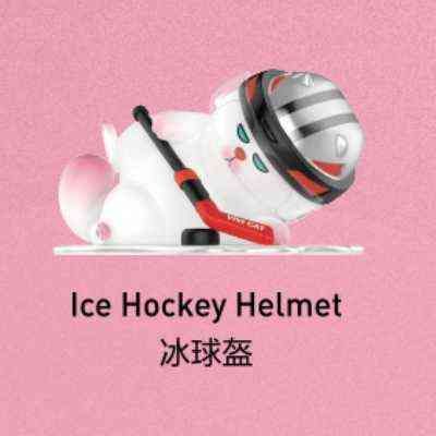 Casque de hockey sur glace