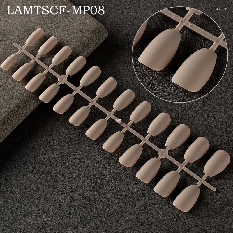 lamtscf-08