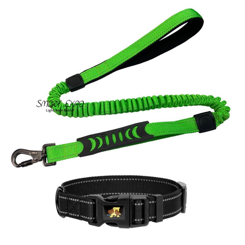 green leash collar set