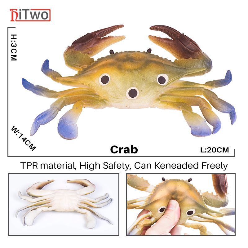 swimming crab