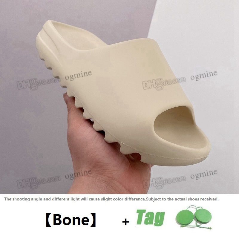 20 Bone
