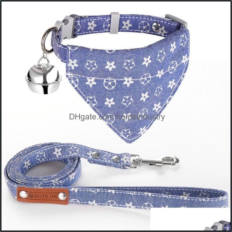 Blue Collar+Leash