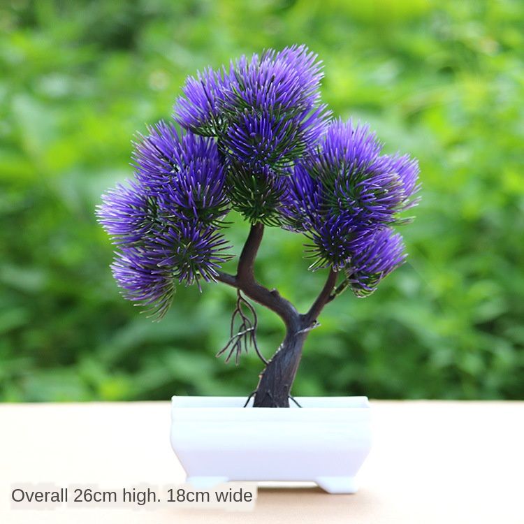 Songshu Violet