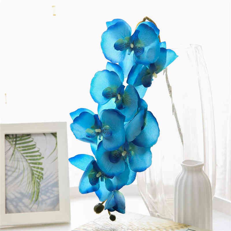 Blue Phalaenopsis-1pc