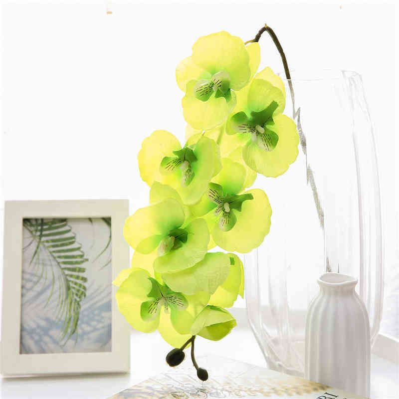 Phalaenopsis-1pc verde