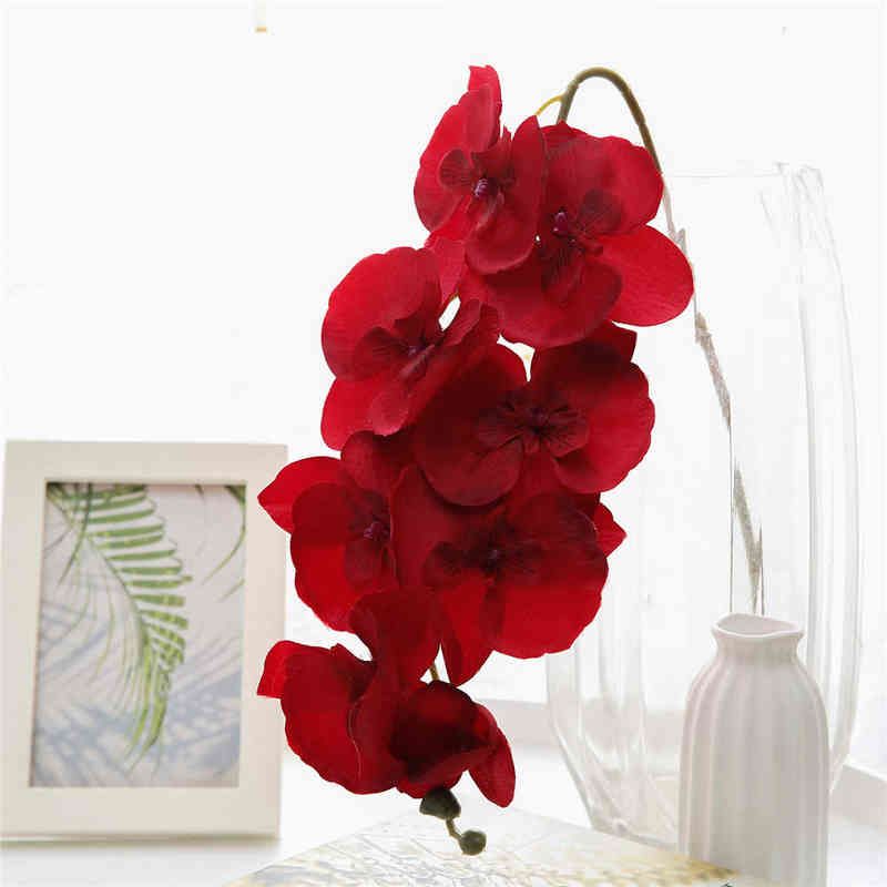 Phalaenopsis-1 pc vermelho