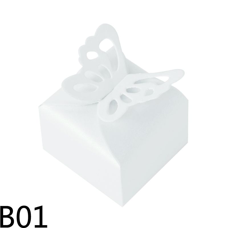 B01-10PCS