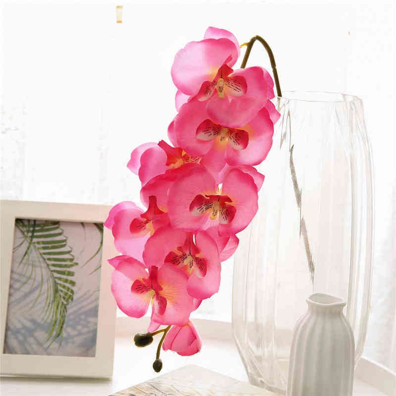 Pink Phalaenopsis-1pc