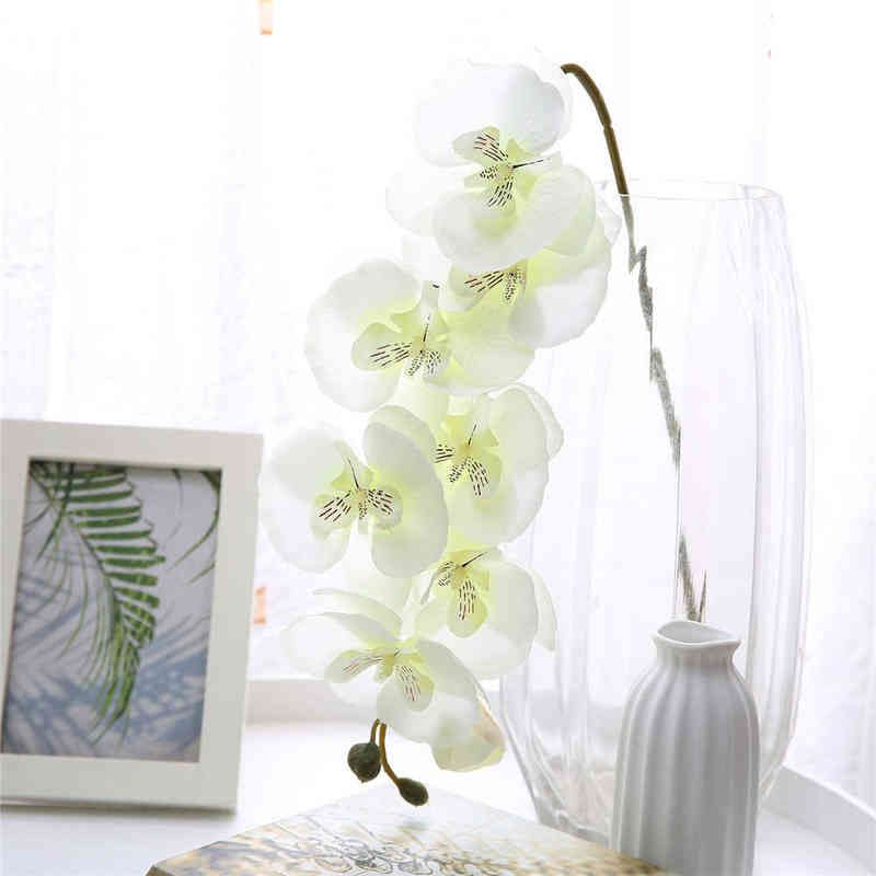 Branco Phalaenopsis-1pc