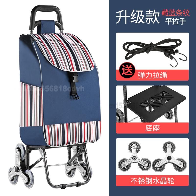 Tricycle blue Stripe