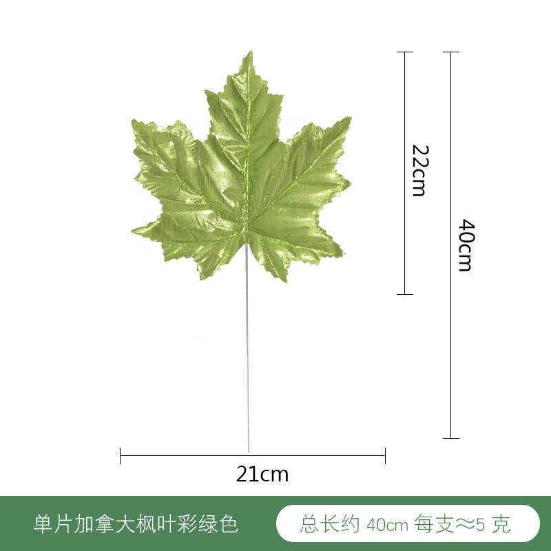 Congé d'érable vert