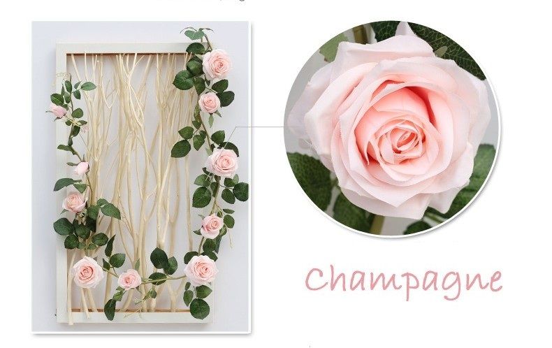 Rose champagne