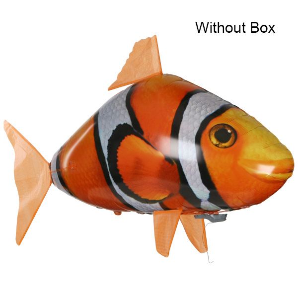 pesce nessuna scatola