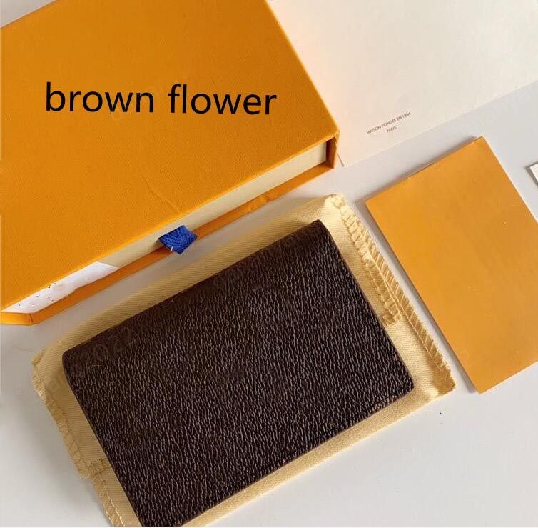 茶色の花