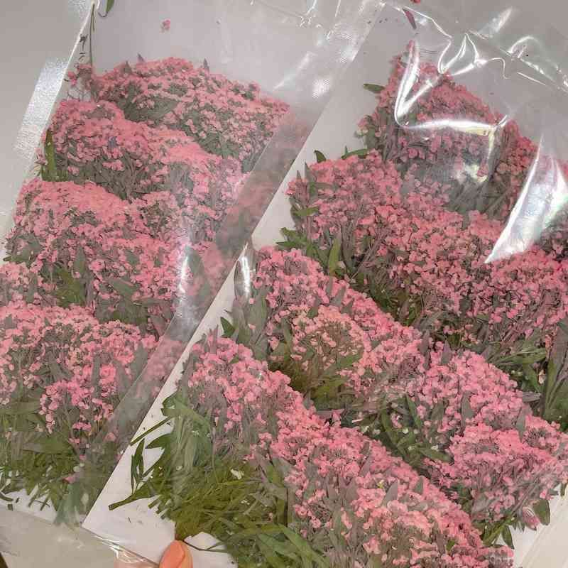 Pink-12pcs