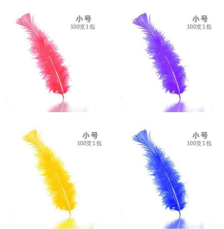 Feather(100pcs)