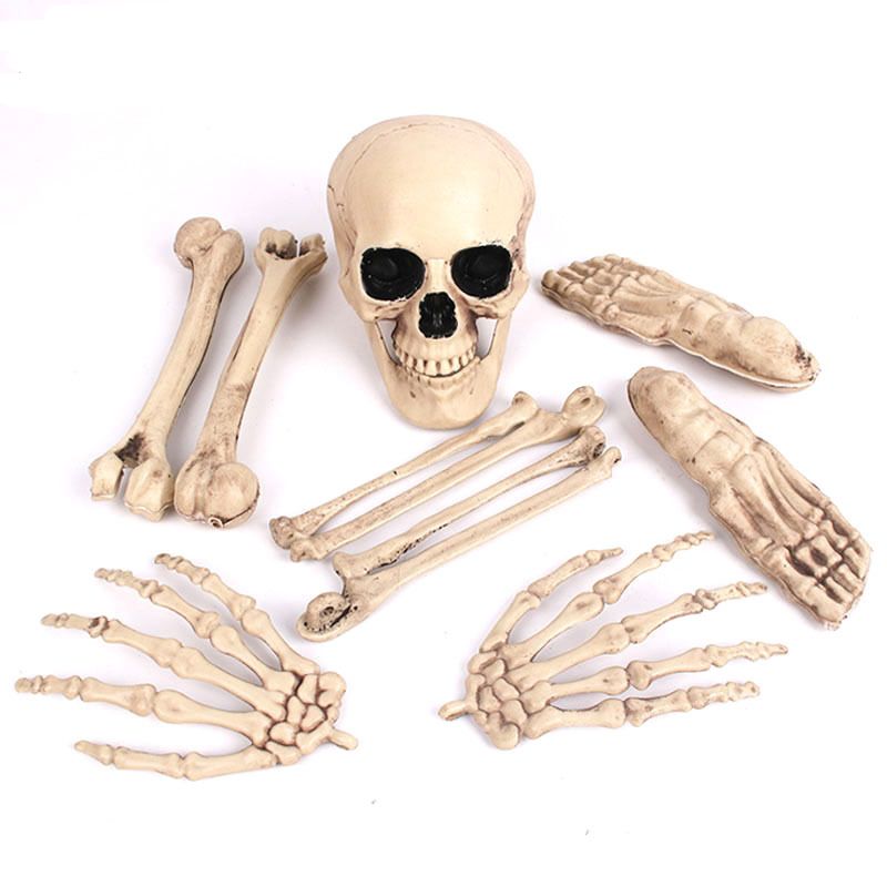 Squelette de 9pc
