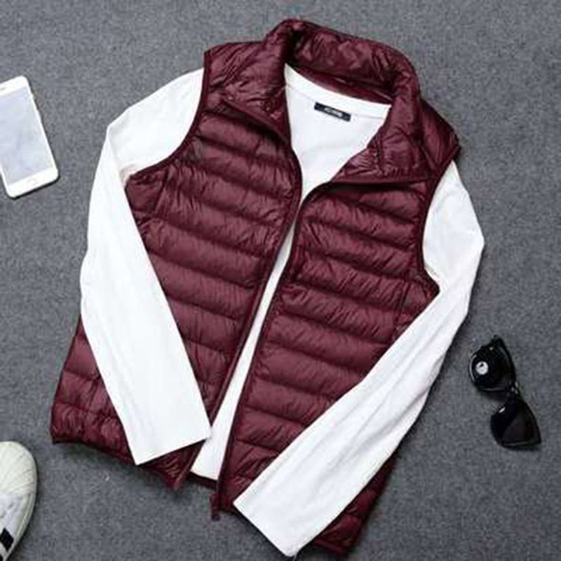 Bourgondisch vest