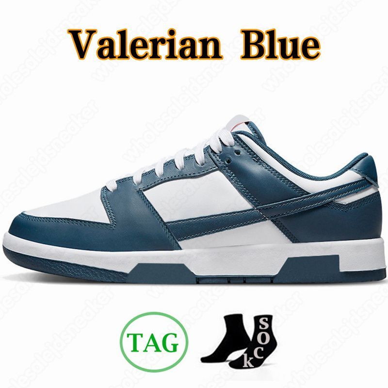 Valeriaan blauw
