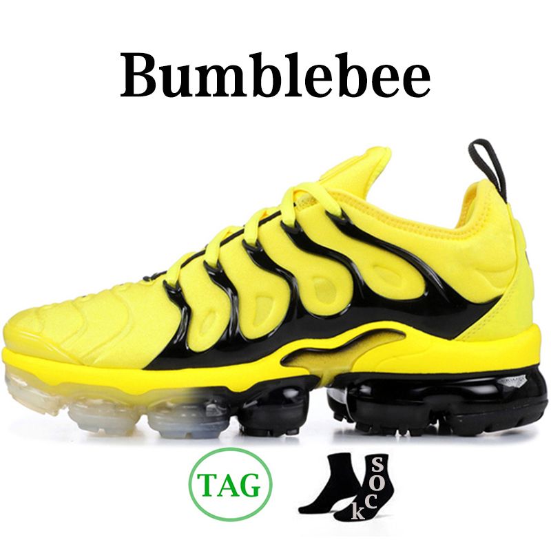 40-47 Bumblebee