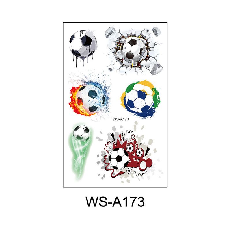 WS-A173