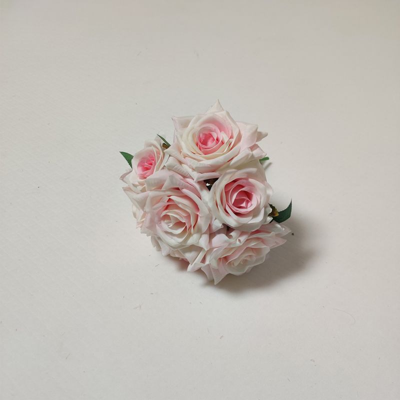 rose blanc