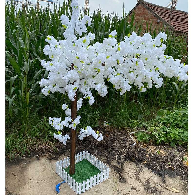 Cerisier blanc4