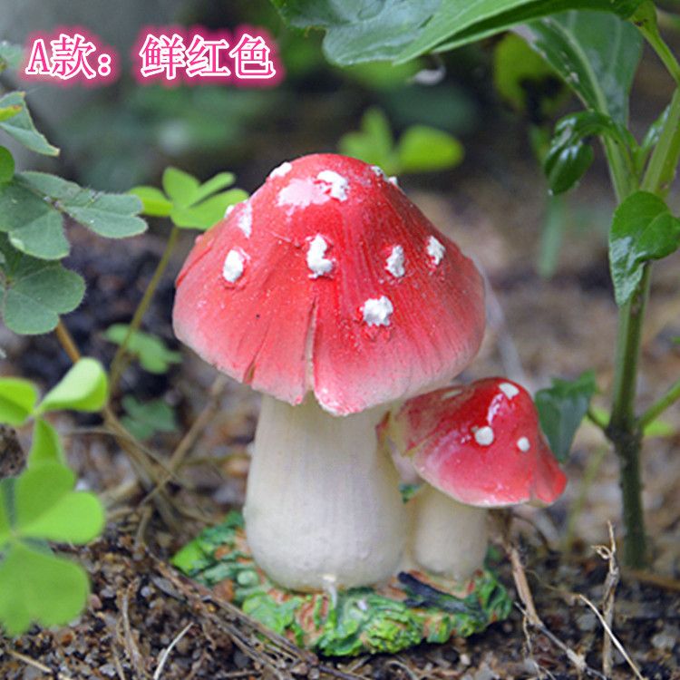 mushroom1