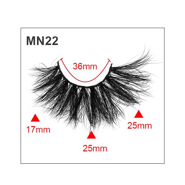 MN22.