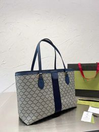 blue+logo 38cm