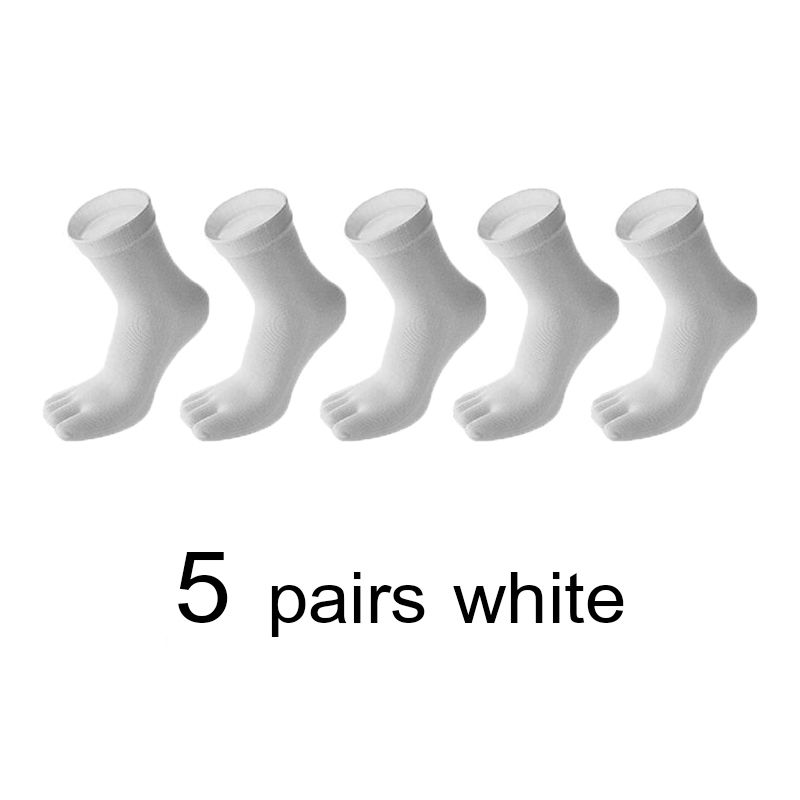 5 쌍 흰색