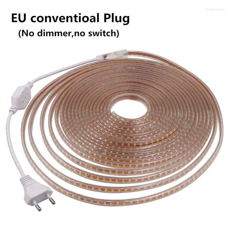 Plug convenzionale