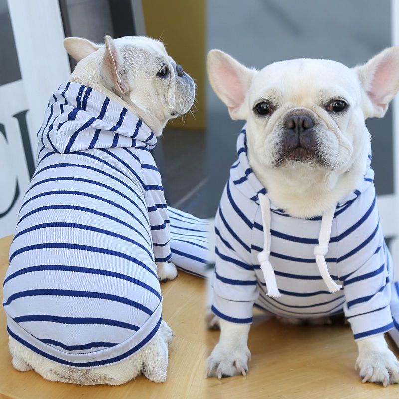 Blue Stripe hoodie