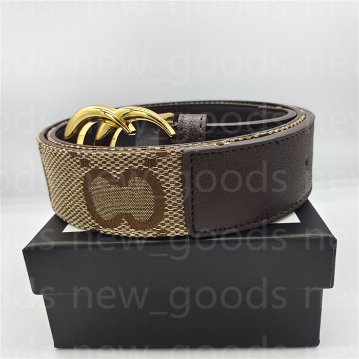 Brown Gold buckle