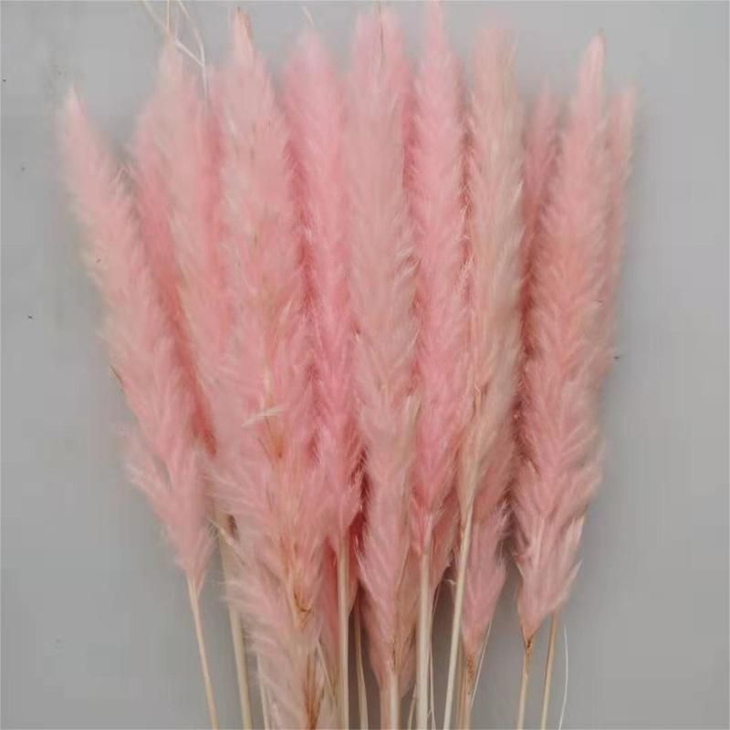 15st 110g rosa